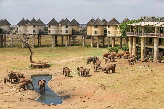 3 Nights Tsavo East, Tsavo West & Amboseli Safari-Code: WTH – 019/SAF-8 52 09