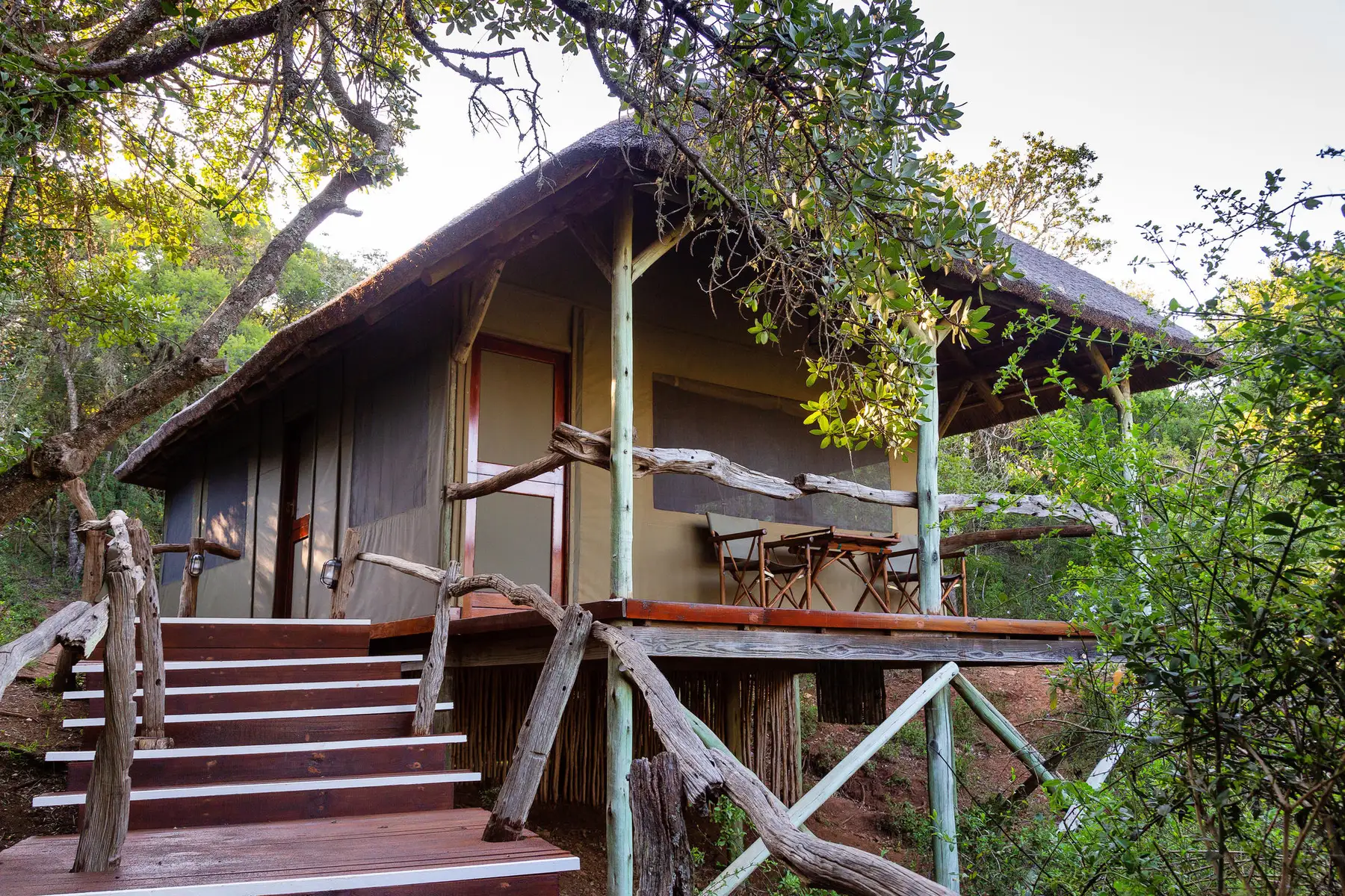 ONE NIGHT NAIROBI/TREE TOPS. 31 6936d3d75b186ba737a1a4ef treetops 3141