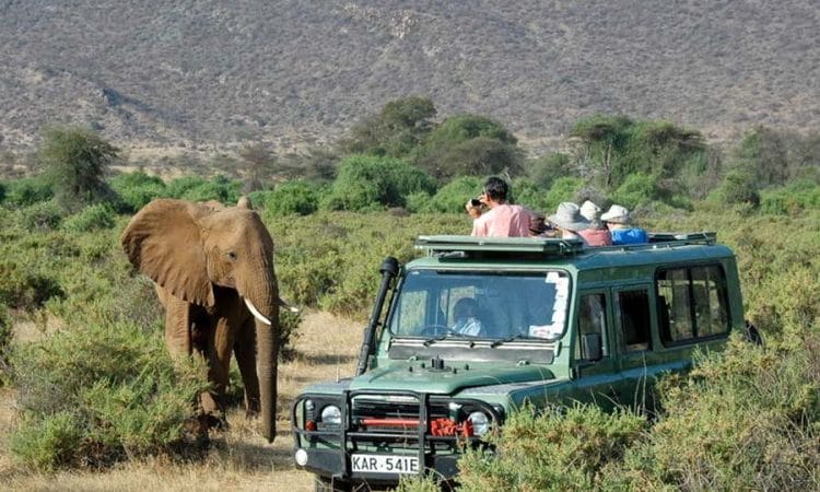Game Drives in Tsavo National Park 750x450 1 1