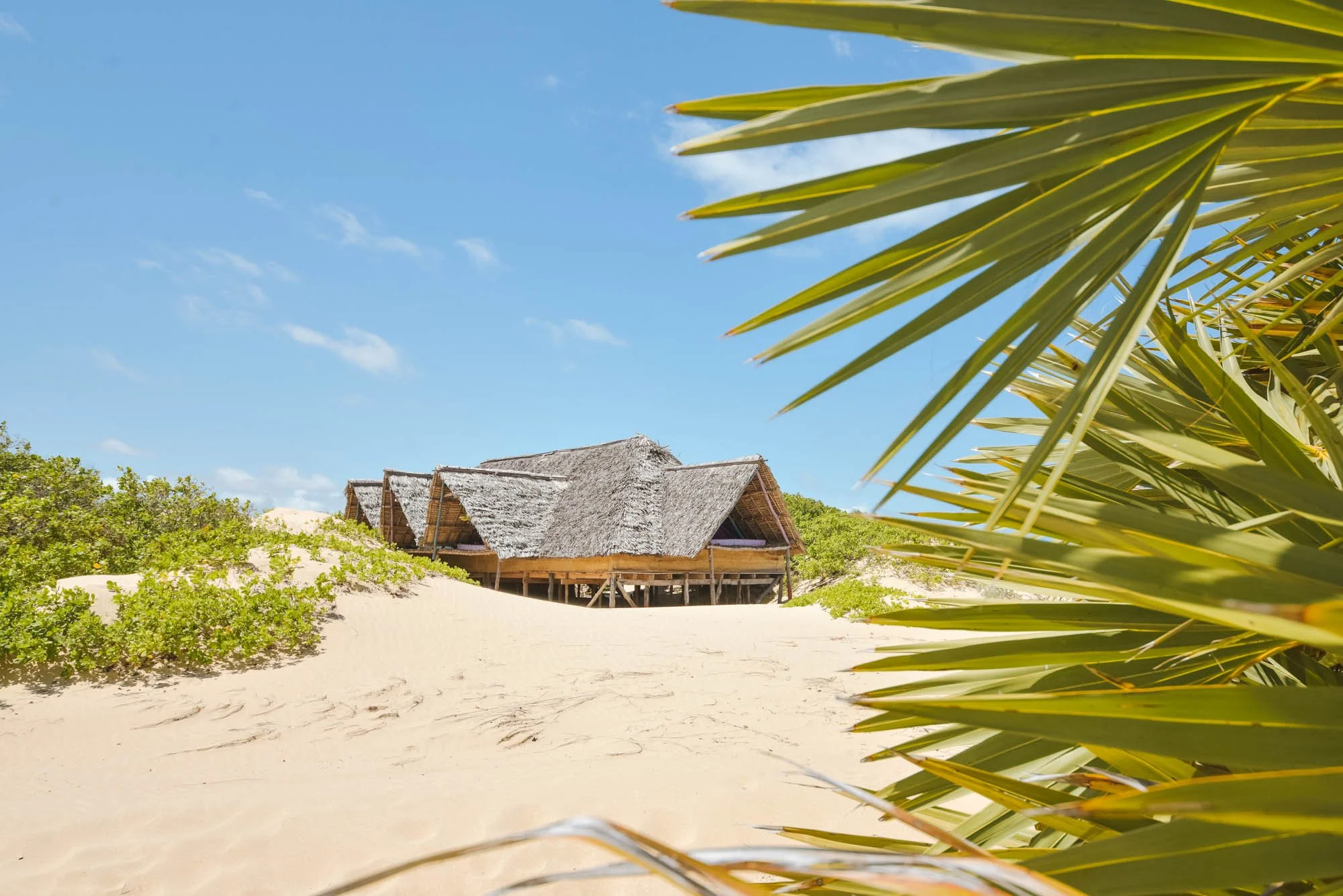 Kizingo Eco-Lodge (In Lamu) 73 KizingoPhase1Shoot 839 1