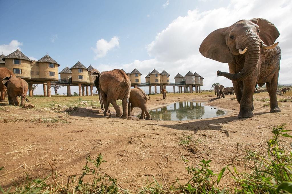 1 Night Taita Hills Game Sanctuary Safari