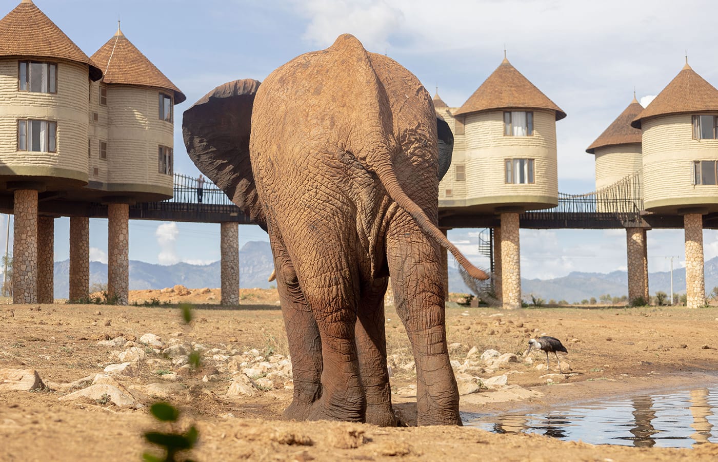 2 Nights Tsavo West National Park Safari -Code: WTH – 018/SAF-7 51 Taita Hills Wildlife Sanctuary Gallery Artboard 10