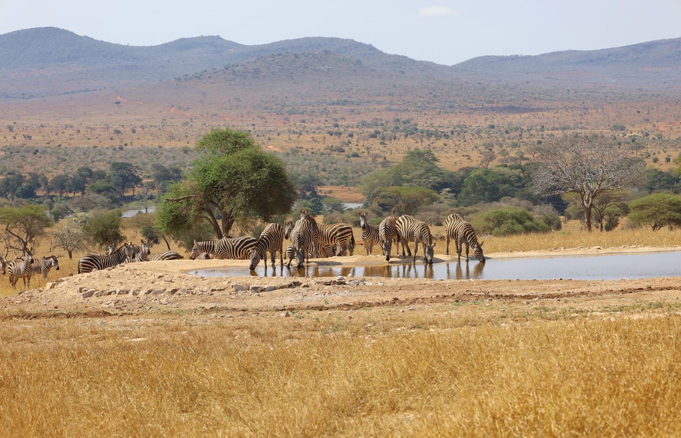 3 Nights Tsavo East, Tsavo West & Amboseli Safari-Code: WTH – 019/SAF-8 51 Taita Hills Wildlife Sanctuary Gallery Artboard 13