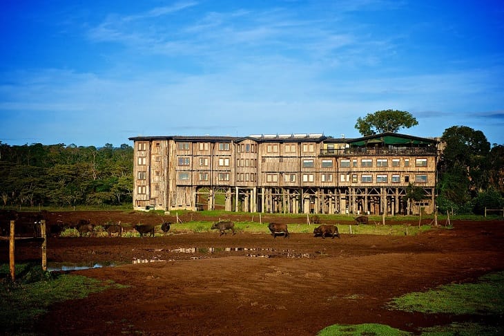 4 NIGHTS AT ONE TREE HOTEL/LAKE NAKURU NATIONAL PARK/MASAI MARA NATIONAL RESERVE. 37 Treetops Hotel