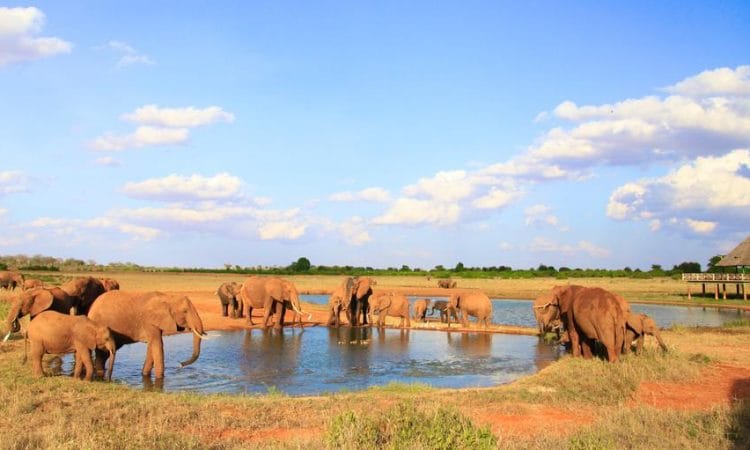 3 NIGHTS AMBOSELI NATIONAL PARK/LAKE NAKURU NATIONAL PARK 52 Tsavo East National Park 750x450 1