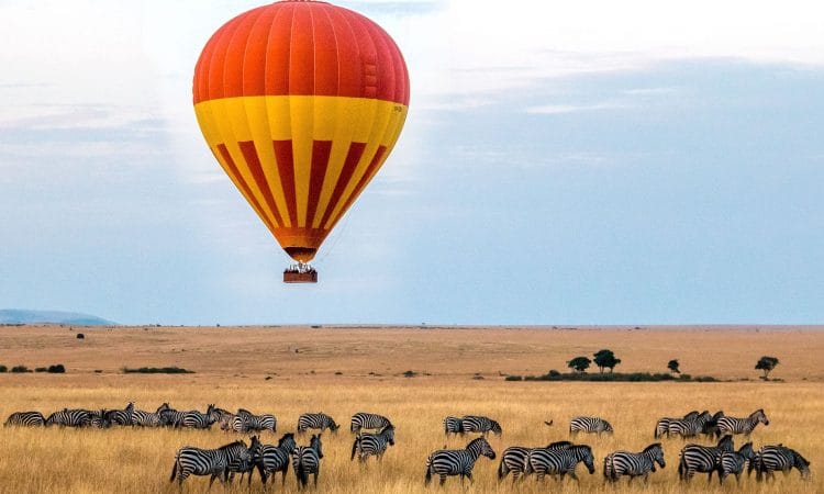 3 NIGHTS MASAI MARA GAME RESERVE/LAKE NAKURU NATIONAL PARK 61 a92f50479aab54d6bfe0622a9540f6a81681044319 1 750x450 1