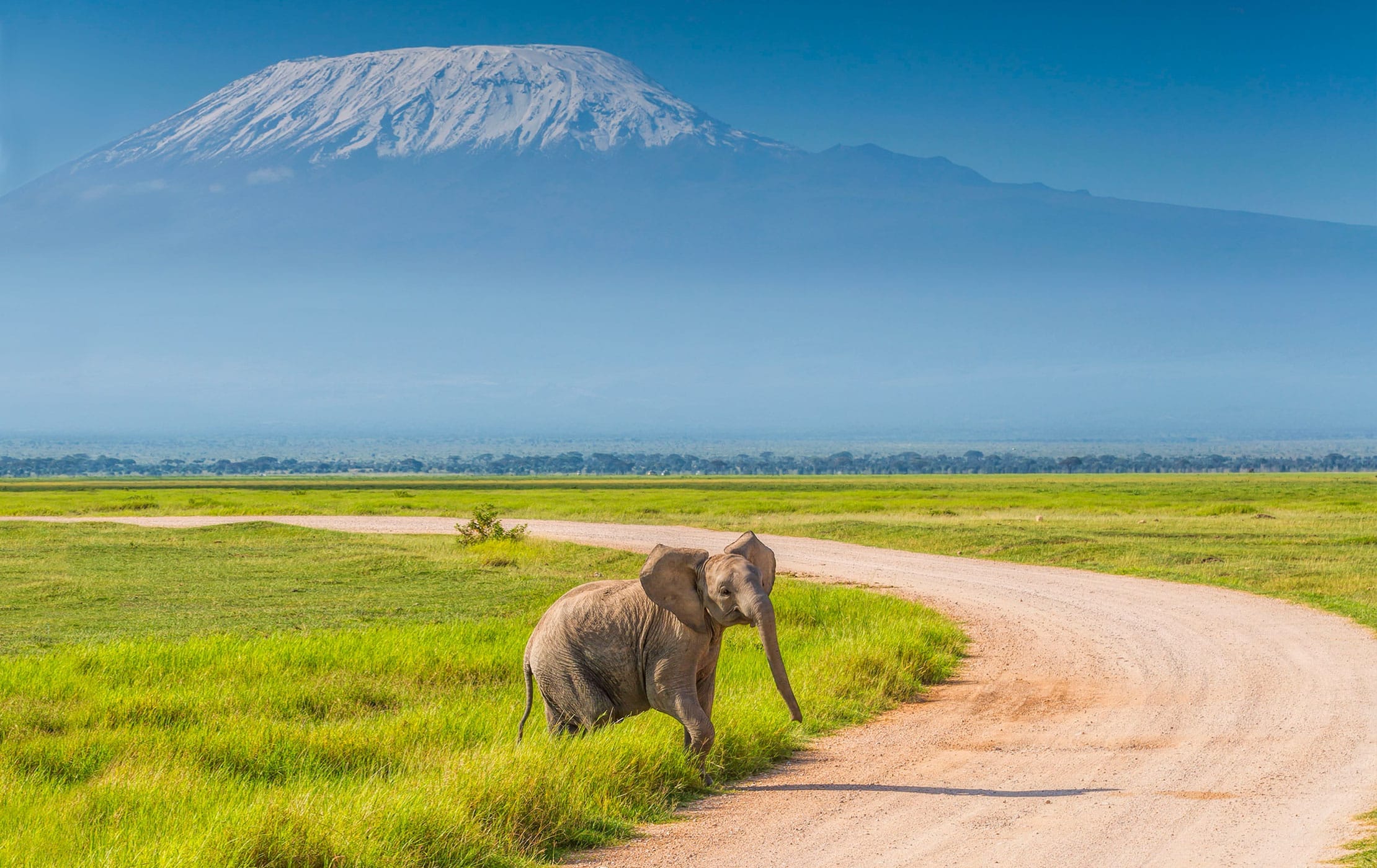 2 NIGHTS AMBOSELI NATIONAL PARK. 25 amboseli national park