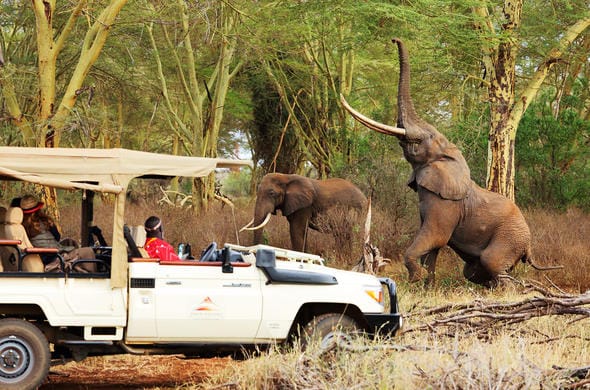 3 Nights Tsavo East, Tsavo West & Amboseli Safari-Code: WTH – 019/SAF-8 49 finch hattons camp game drive 590x390 1