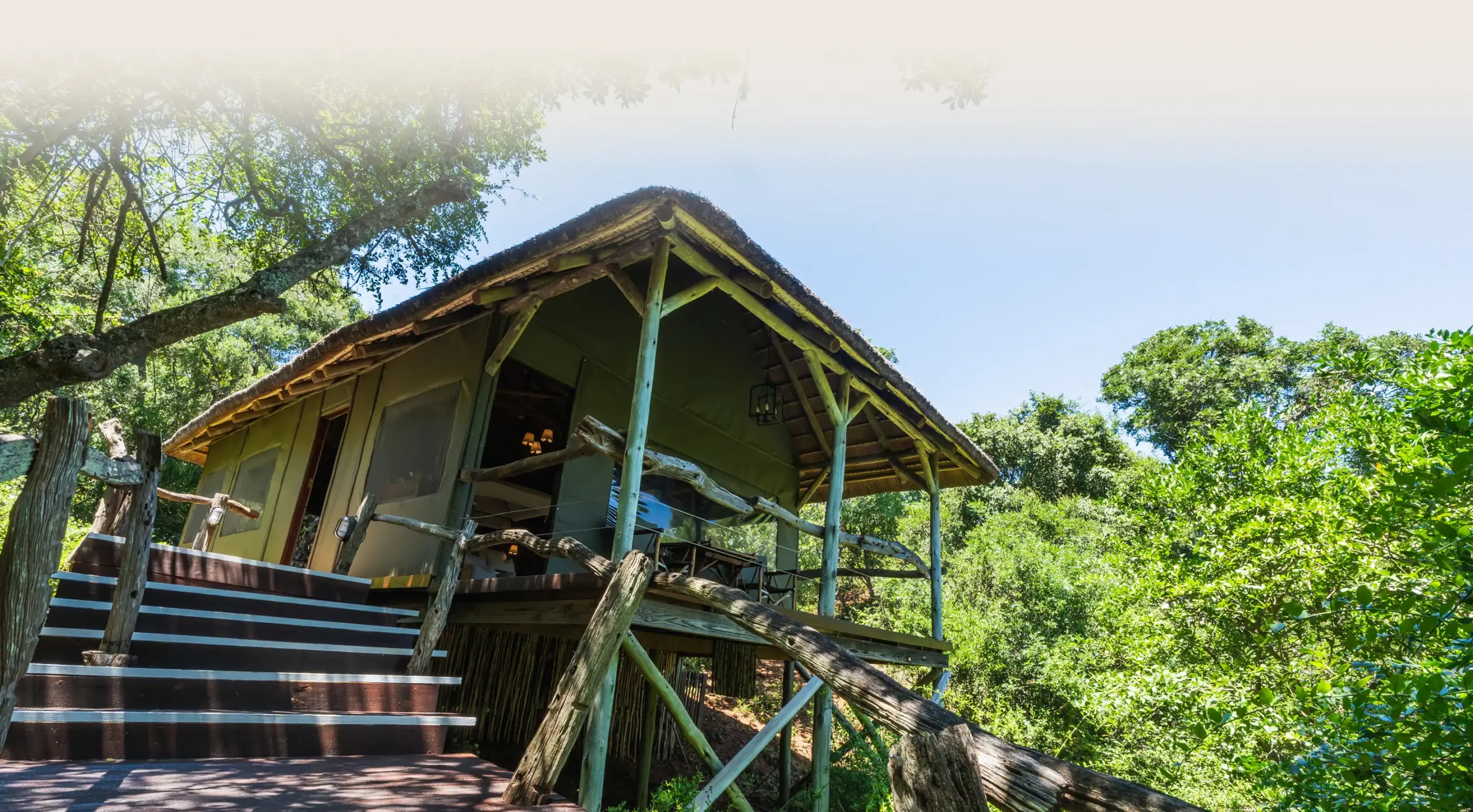 ONE NIGHT NAIROBI/TREE TOPS. 30 lodge treetops intro backdrop@2x scaled