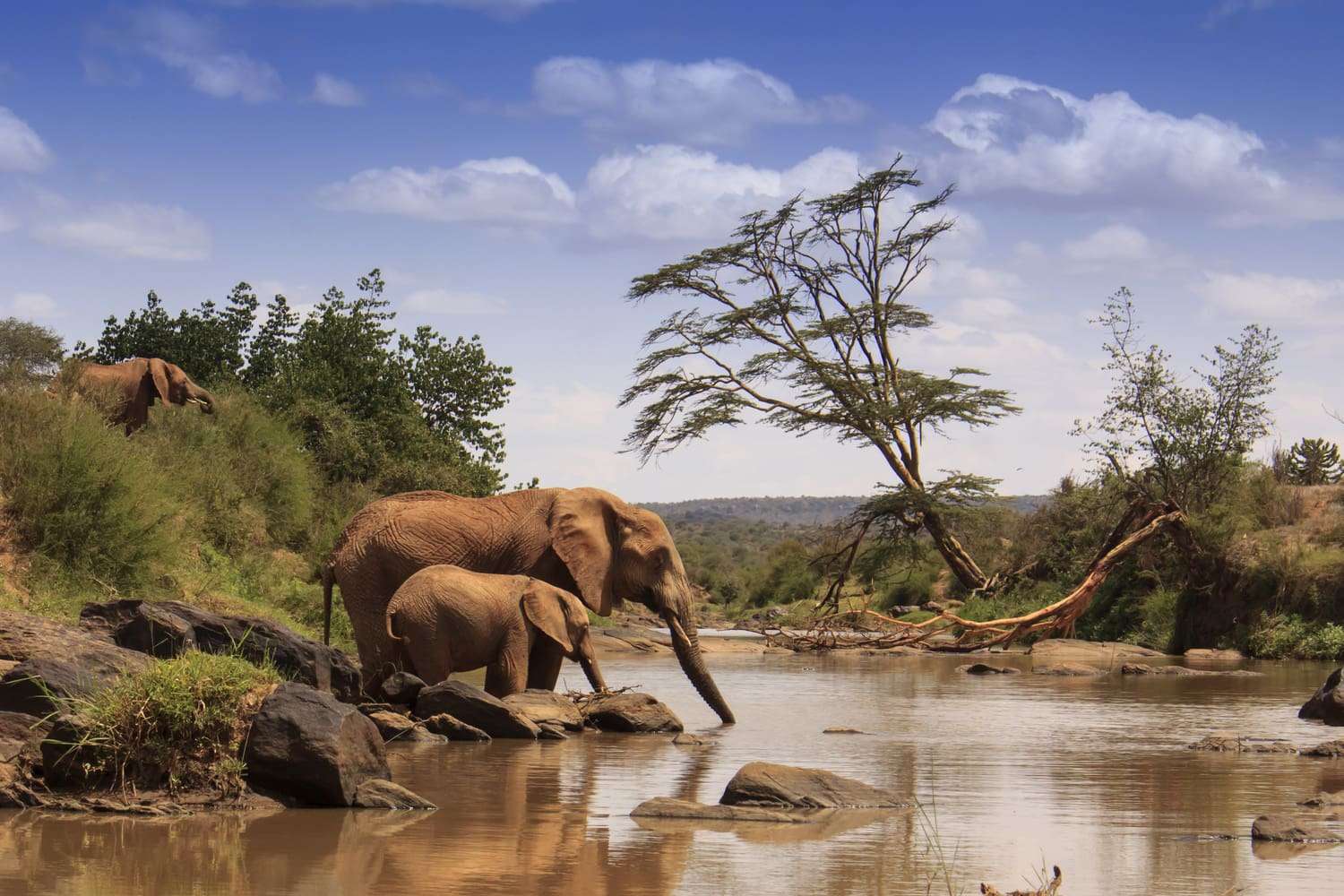 6 NIGHTS – MT. KENYA NATIONAL PARK/SAMBURU NATIONAL RESERVE/LAKE NAKURU NATIONAL PARK/MASAI MARA GAME RESERVE. 1 shutterstock 666367744