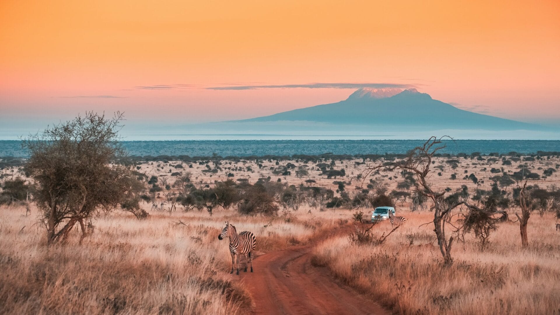 2 Nights Tsavo West National Park Safari -Code: WTH – 018/SAF-7 50 wide shot of a beautiful jungle under the colorful sky captured in tsavo west kilimanjaro kenya