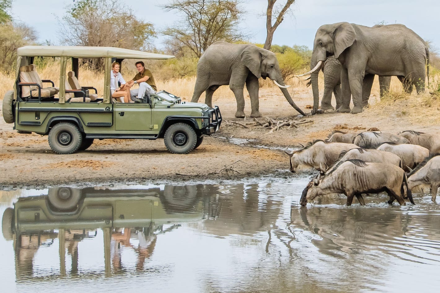 Day trip – Tarangire National Park or Lake Manyara National Park  Lake Manyara National Park