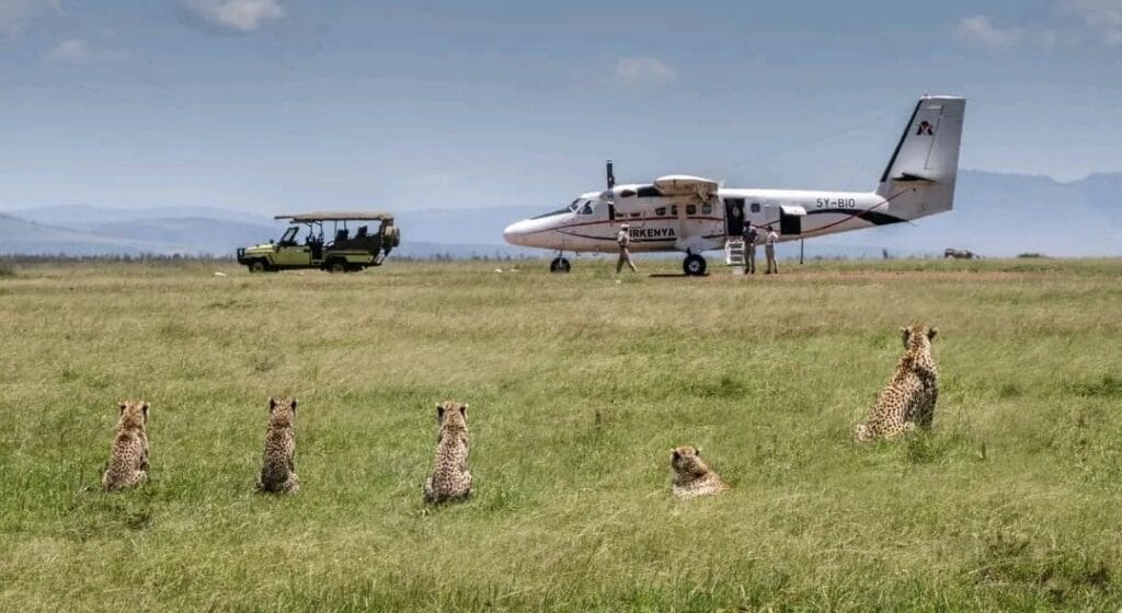 MAJESTIC MARA/SAROVA MARA FLYING PACKAGE. 55 2 Days Masai Mara Fly In Safari from Nairobi