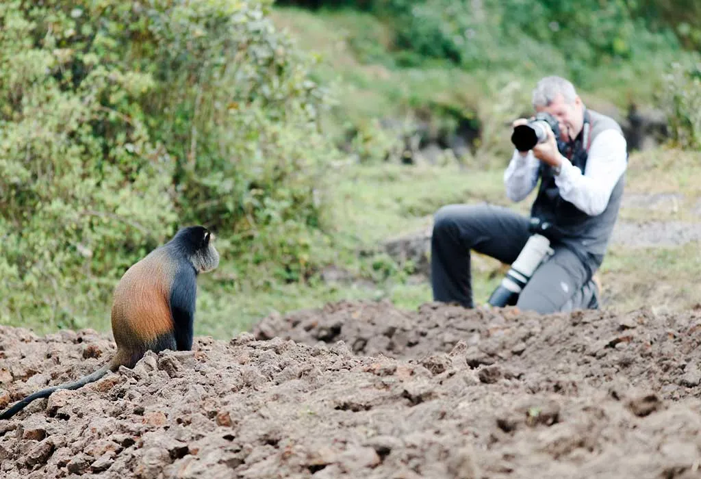 5 Days Wildlife Safaris, Boat Cruise and Golden Monkey Trekking Experience. 13 5 Days Rwanda Golden monkeys and Big 5 Safari1