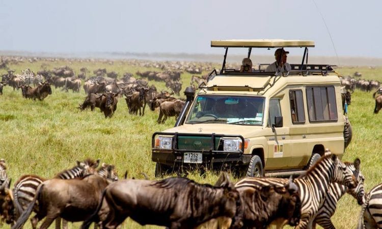 Day trip - Tarangire National Park or Lake Manyara National Park Lake Manyara National Park 2 Activities in Lake Manyara National Park 750x450 1