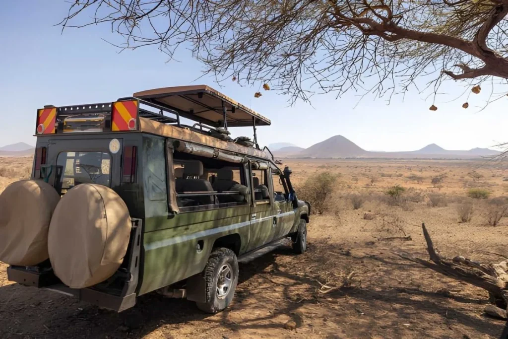 Amboseli Safari Safarizuru.jpg