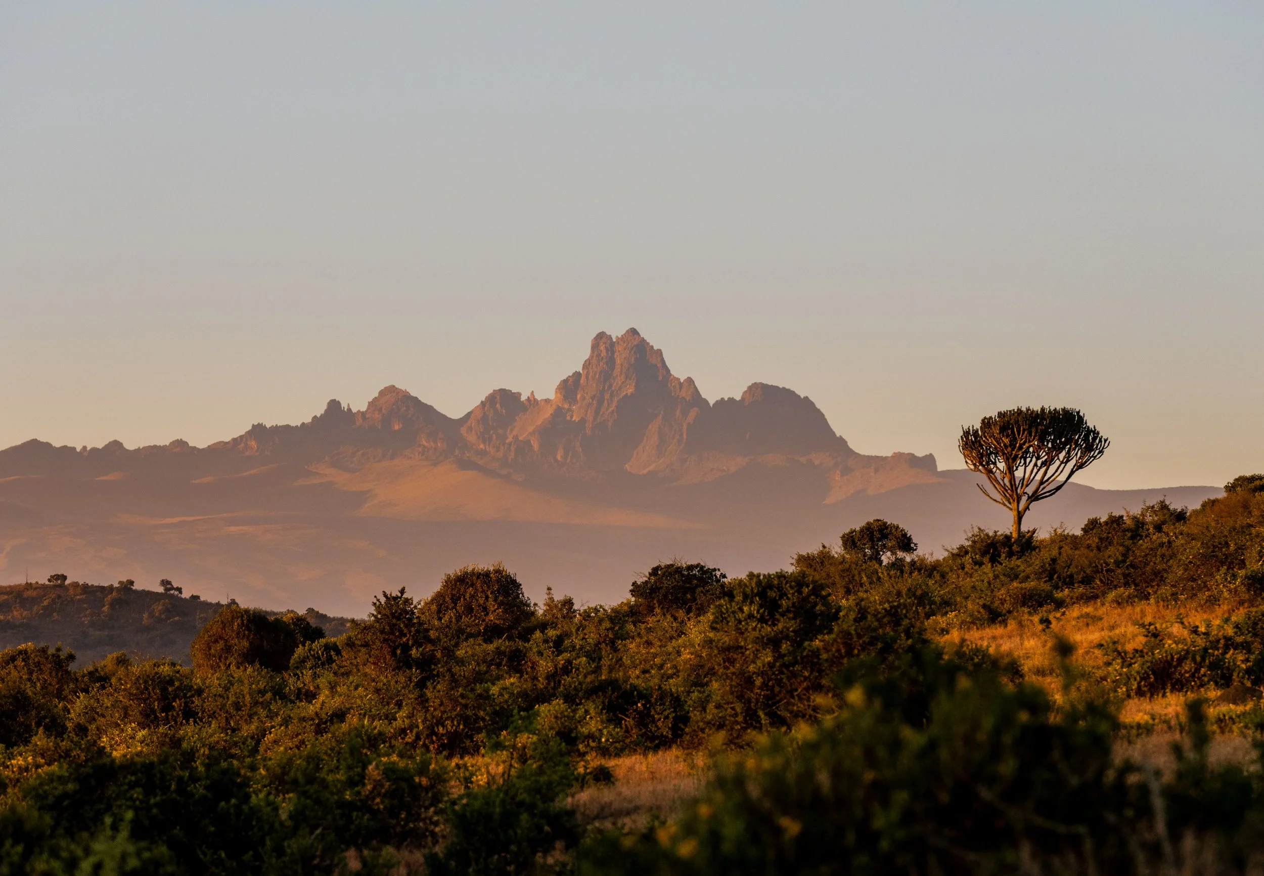 3 Nights Borana Conservancy, Laikipia, Northern Kenya 2 DSC5183