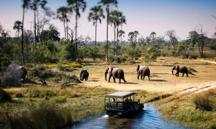 5 Nights(Drive in Drive Out) Arusha,Tarangire,Manyara ,Ngorongoro,Serengeti 2 Game Drives in Tarangire National Parkss 750x450 2