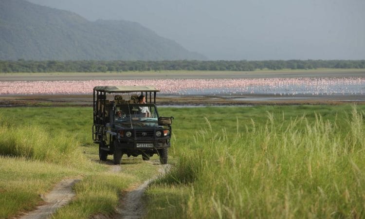 Day trip - Tarangire National Park or Lake Manyara National Park Lake Manyara National Park 3 Game drives in Lake Manyara national parksss 750x450 1