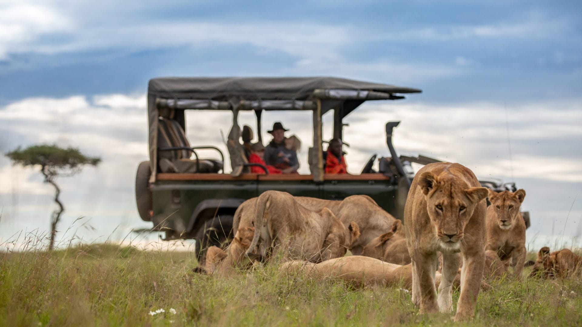 The Masai Morans’ Treks Safari- 6 Nights/7 Days Flying Safari Package 4 HOUSEitWILD Silverless 097A1833 HIGHRES 1920x1080 1