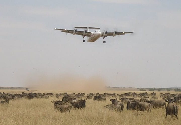 Basecamp Masai Mara (Flying Option) 37 Kenya air safari eastern vacations kenya 720x500 1