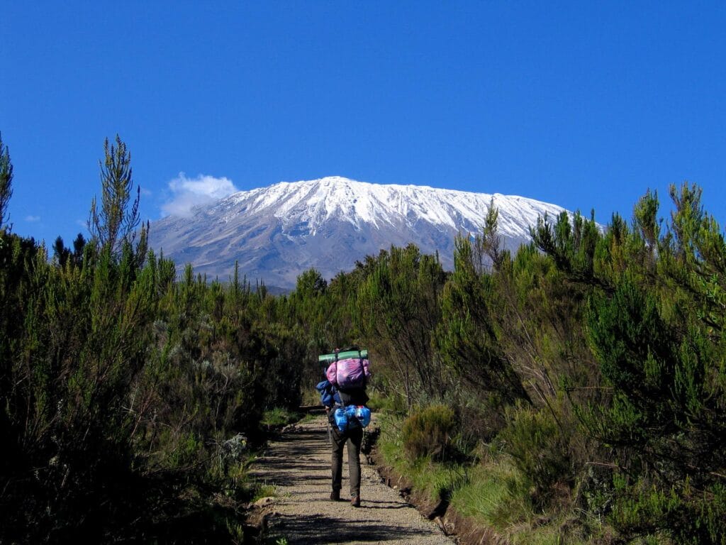 Rongai Route via Mawenzi Tarn Hut - 6 Days 49 Kilimanjaro Climb Rongai Route 01