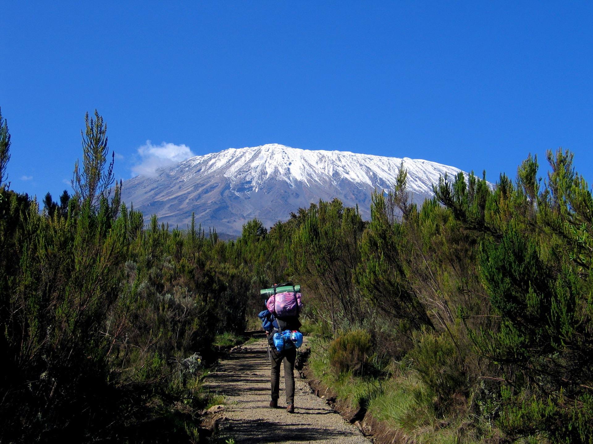 Rongai Route via Mawenzi Tarn Hut – 6 Days