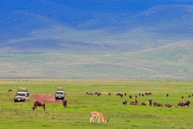 5 Nights/6 Days - Manyara/ Serengeti/Ngorongoro 3 Lake Manyara Ngorongoro Crater 2 636x426 1