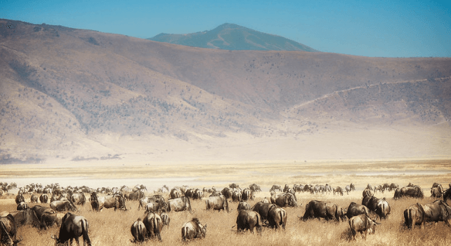 2026 Suggested Itineraries 1 Ngorongoro Conservation Area