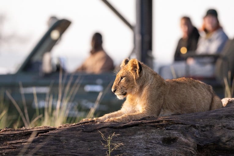3 Nights/4 Days Flying Safari-Governors Camp Safari 19 On Safari 2 1 1