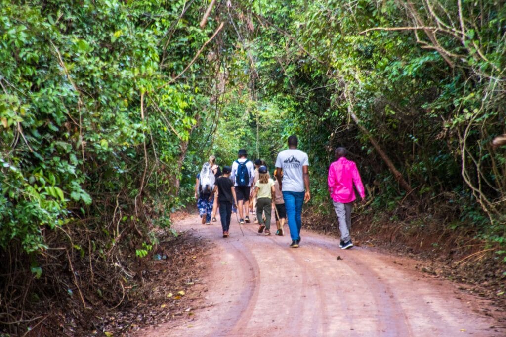 Pugu Hill Nature Forest Hiking 2