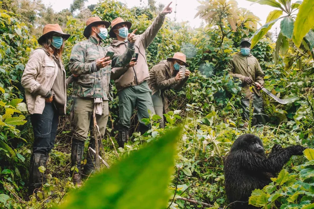 2 Nights Rwanda Gorilla Safari ( Standard) – Departs from Kigali daily. 37 Roles of Porters in Gorilla trekking