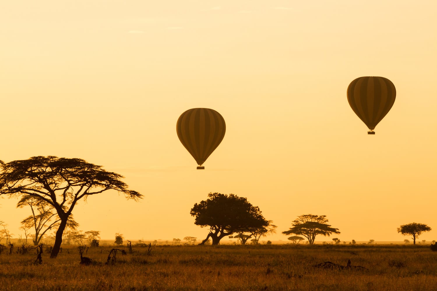 3 Nights / 4 days Manyara / Ngorongoro 2 Serengeti Baloon