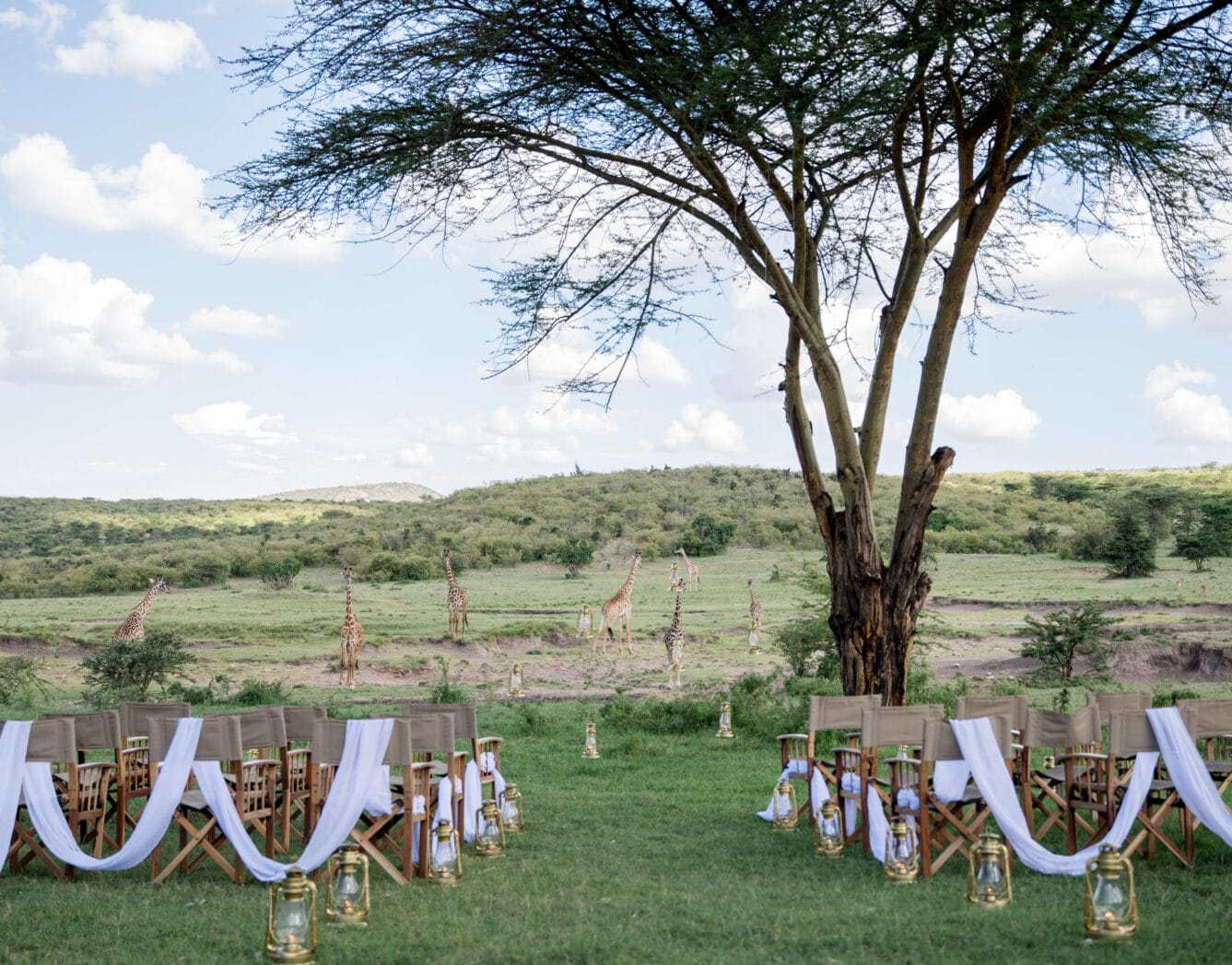 WEDDINGS ETC 2 Tess and Fabian Wedding Highlights 129 1337x1047 1