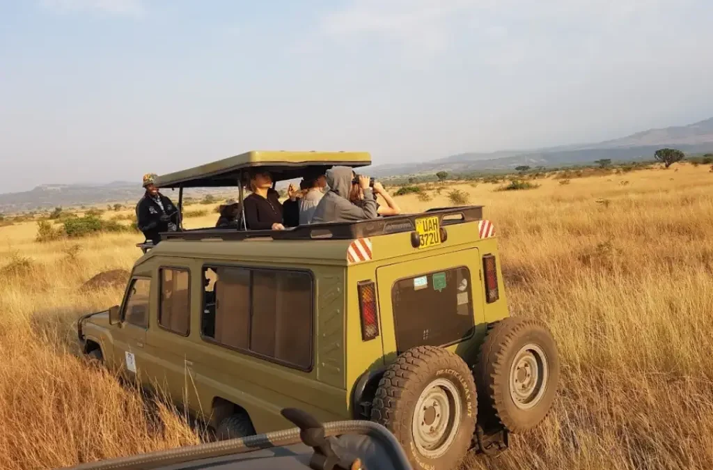Uganda Safari – 2026 13 Uganda safari trips 2026 1024x675 1