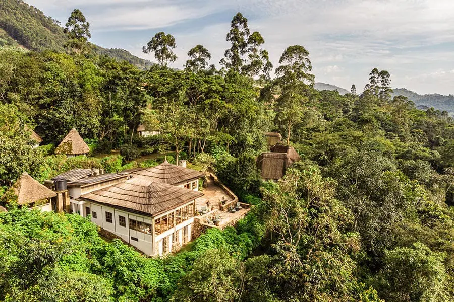 Bwindi by Air - 2026 7 Volcanoes Bwindi Lodge Image 3