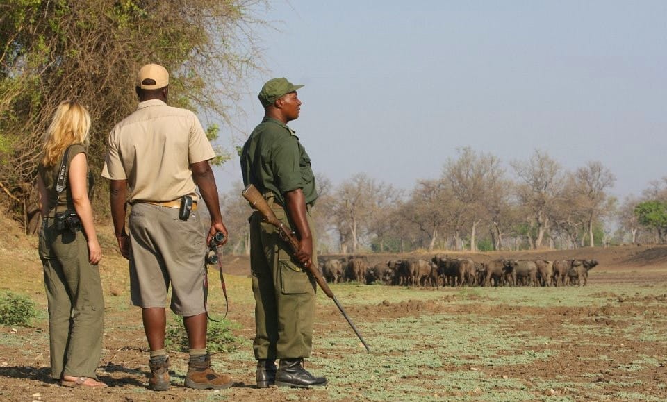 Walking safari.1