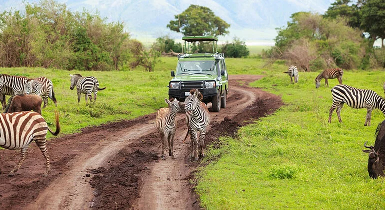 affordable arusha national park day trip 01