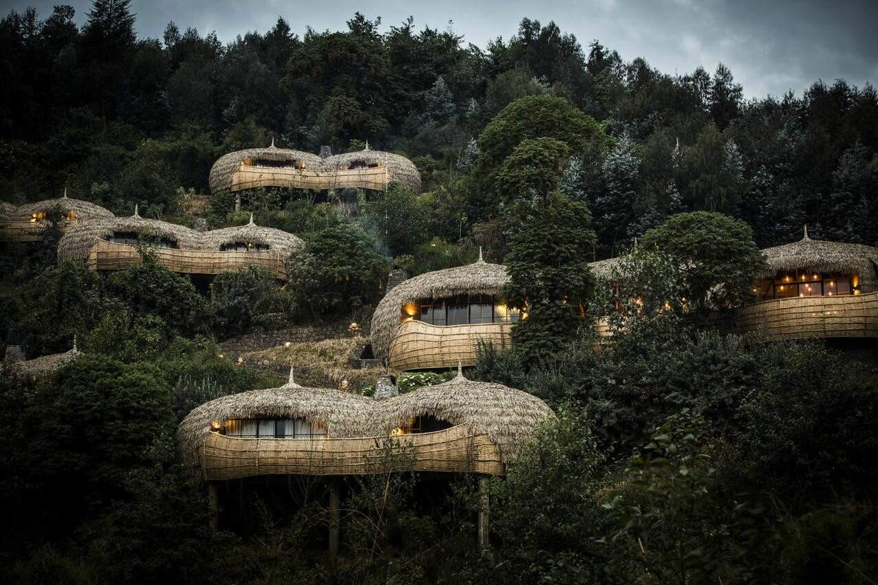 5 Days Luxury Rwanda Mountain Gorillas & Golden Monkey Trekking Tour. 2 bisate lodge rwanda safari