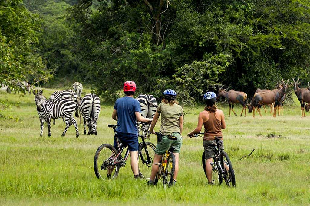 Uganda Safari – 2026 3 cycling in lake mburo national park