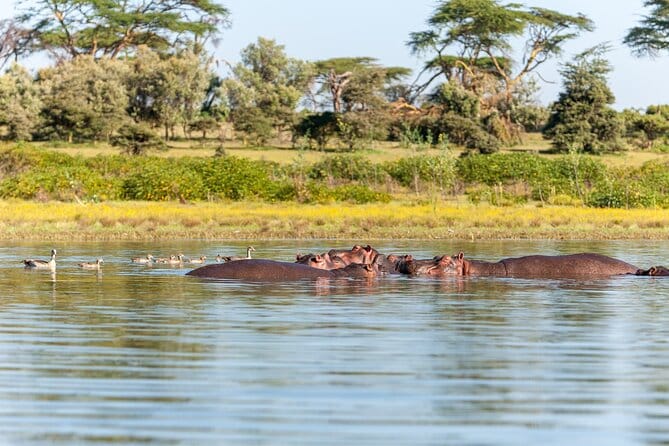 3 Nights / 4 days Manyara / Ngorongoro 4 e7 1