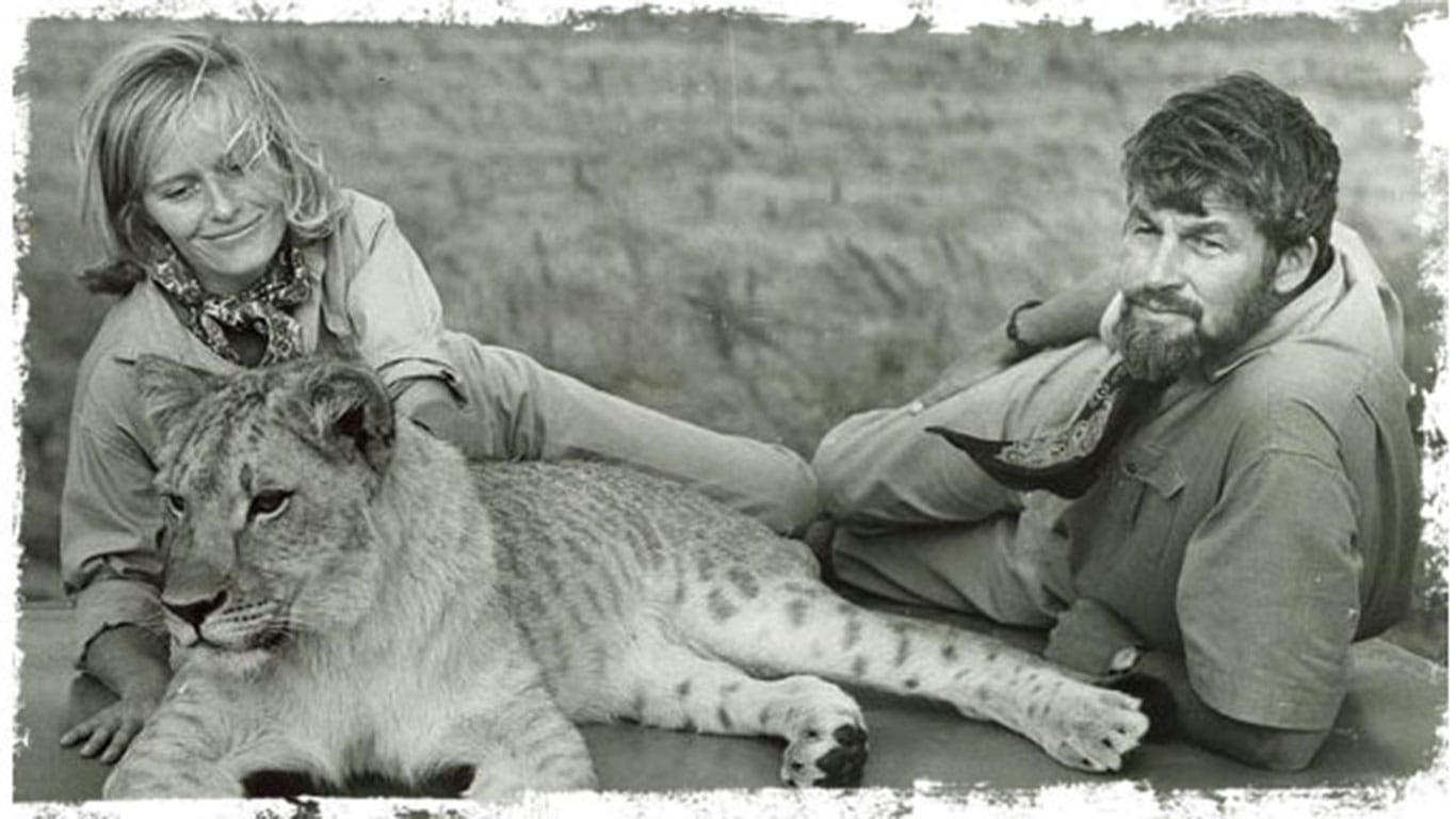 Elsa The Lioness Safari- Amboseli / Meru /Maasai Mara National Park 4 film 49AAF5EAF 1497 FC97 FDB6 3FCF987C5580