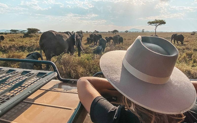 3 nights/4 days Ngorongoro/Serengeti/ Manyara 4 ftos fig 1