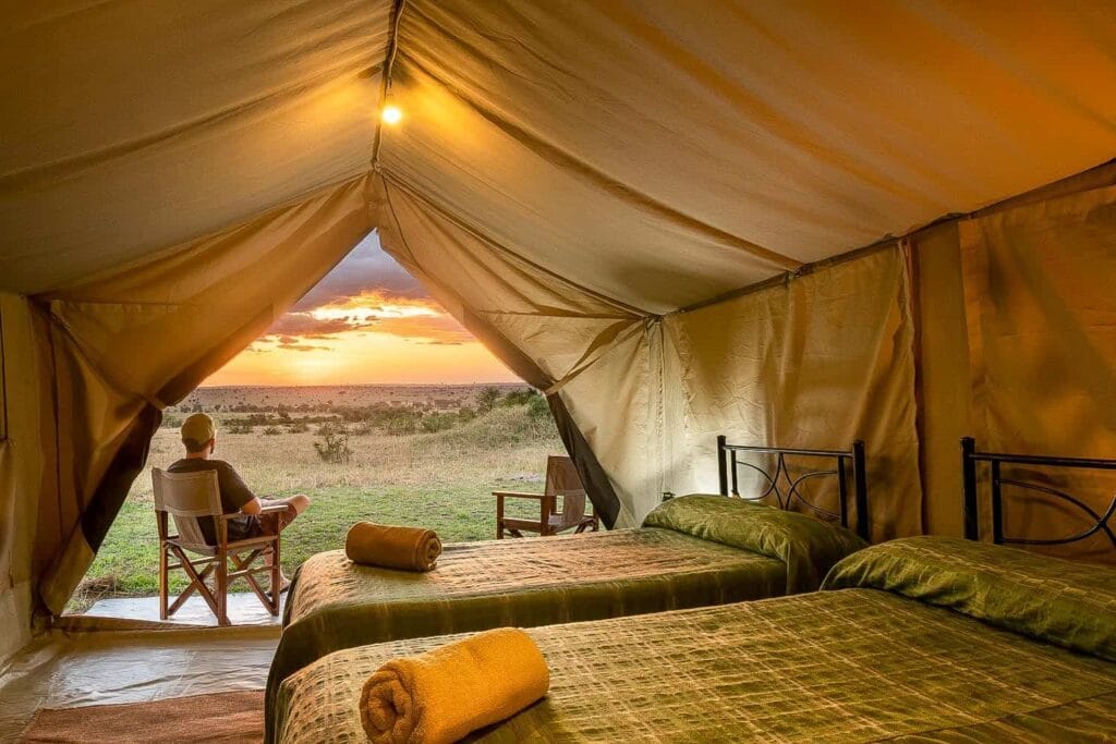 marakatikatitentedcamp3