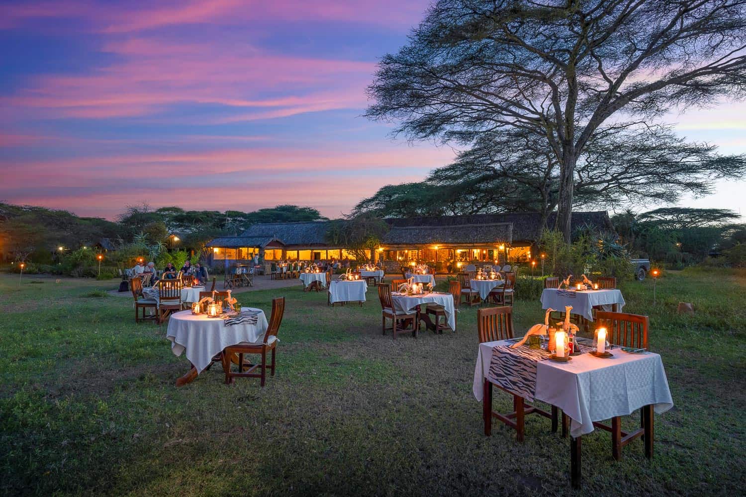 Tanzania Safaris 160 5 nights/6 days Ngorongoro/Lobo/Serengeti/Ndutu/Manyara