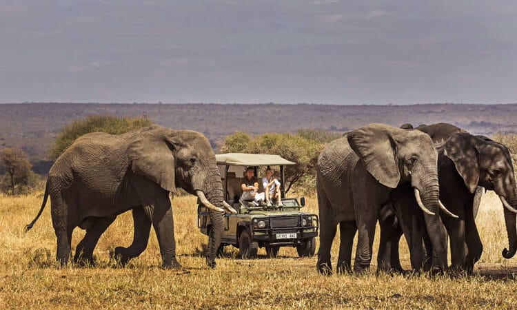5 Nights(Drive in Drive Out) Arusha,Tarangire,Manyara ,Ngorongoro,Serengeti 61 tarangire 1 808x450 1 750x450 1