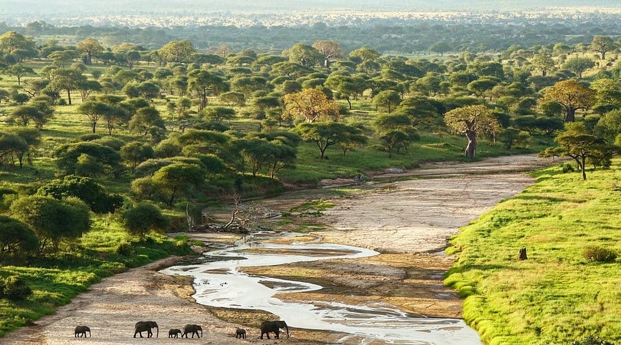 5 Nights(Drive in Drive Out) Arusha,Tarangire,Manyara ,Ngorongoro,Serengeti 1 tarangire safari lodge
