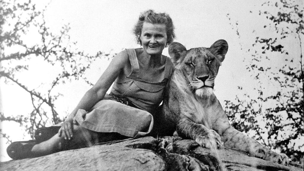 Elsa The Lioness Safari- Amboseli / Meru /Maasai Mara National Park 7 the adamson story