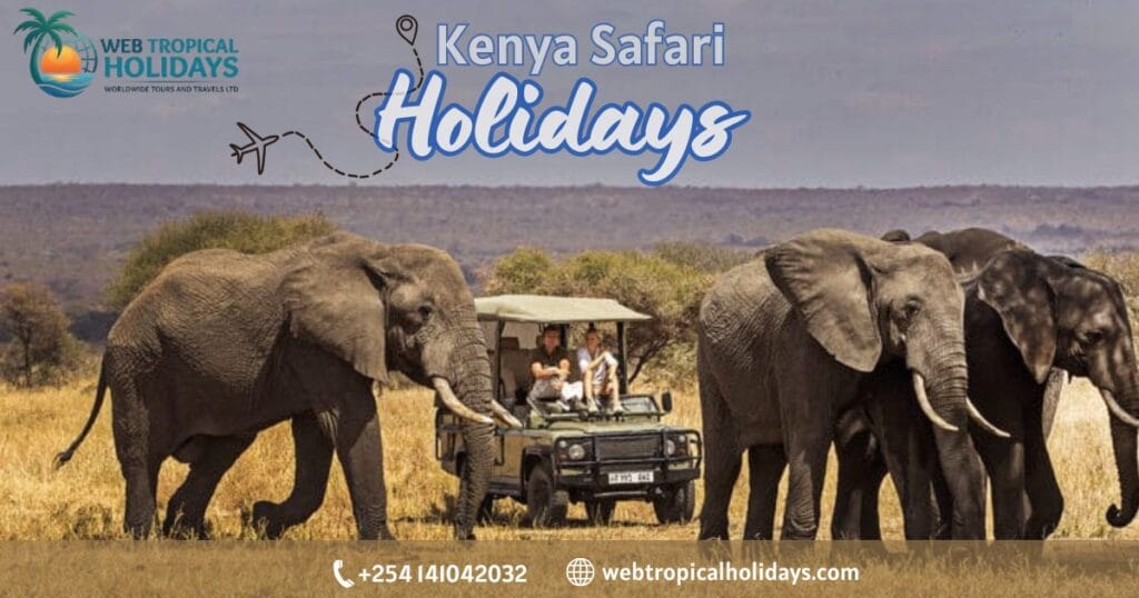 Luxury Kenya Safari Holidays