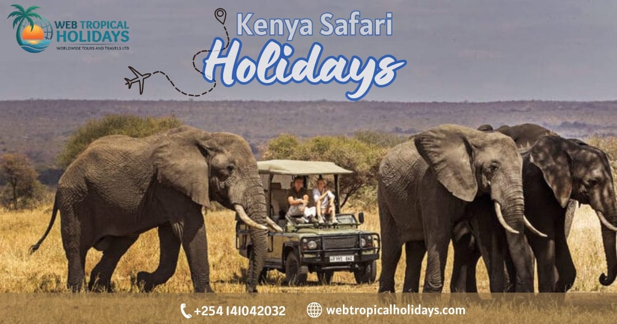 2 Nights/3 Days Road Safari Simba + Oryx Nature Camp, Maasai Mara 58 Luxury Kenya Safari Holidays